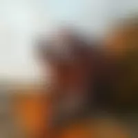 Reverret18