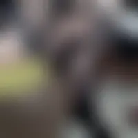 Mangemoi28