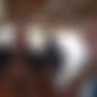 Laurdav