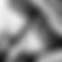 Calins01
