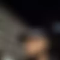 Oiseaux