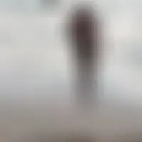 Sexipartage