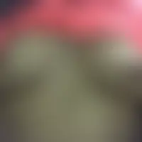 Topgun40