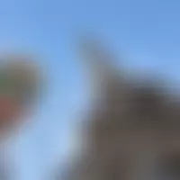 Carlosss369