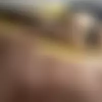 Couplecfbi94