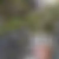Sportifcampcar