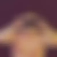 Coco80