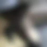Noixdegre