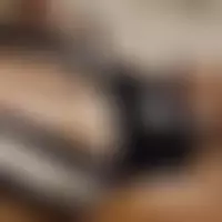 Tanfot