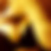 Xxxx2