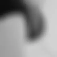 Folie