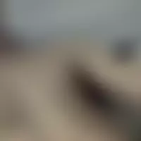 Quentin694