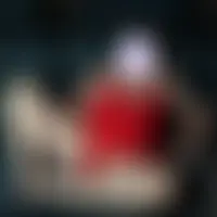 Chrismaqui991