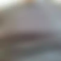 Paradiscreole