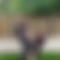 Mt95