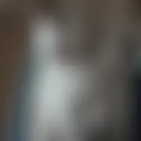Dragonna