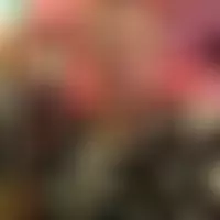 Toddy10