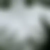 Duocoquins33