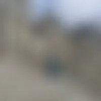 Morena40