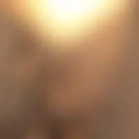 Chocolatecoquine