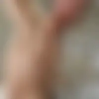 Chtibiarrot64