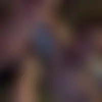 Dodonono0712