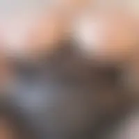 Swingercoquin