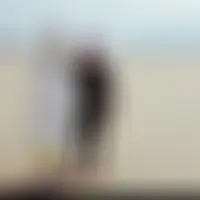 Supragentil