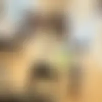 Ibzo77