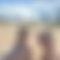 Sexadi
