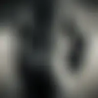 Meta31