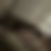 Lilymady