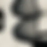 Secretlou