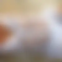 Stephanievdb
