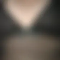 Cel21vinc