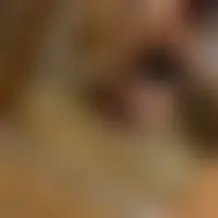 Theeyes