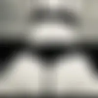 Cloveb