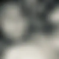 Ameliedavid53000