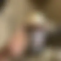 Joakim