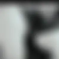 Bibiguepe