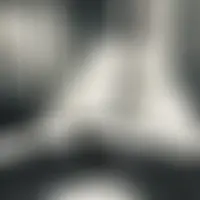 Feline73
