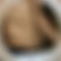 Nouvcal47