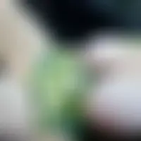 Exhibe59