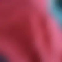 Frozeen