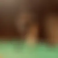 Bonnepulsion