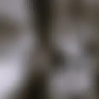 Hiddendesir