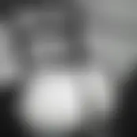 Coquinsbi76