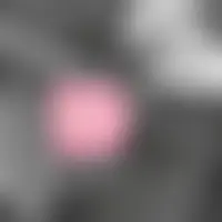 Yo6630