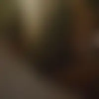 Lesfouxxx1
