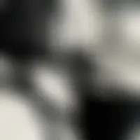Feline73